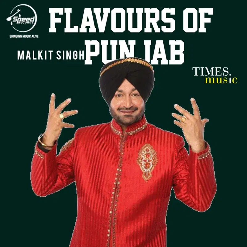 Flavours of Punjab