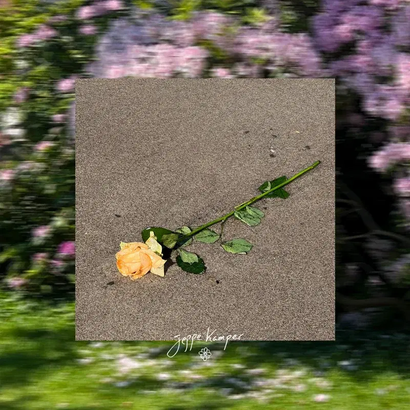 første halvdel