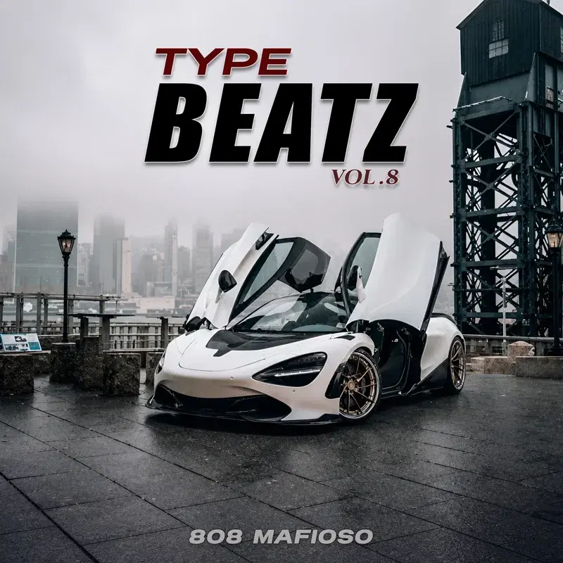 Type Beatz, Vol. 8