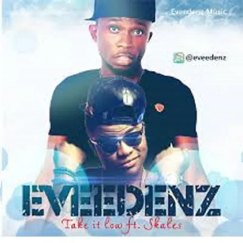 Take It Low (feat. Skales)