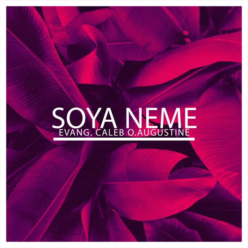 Soya Neme