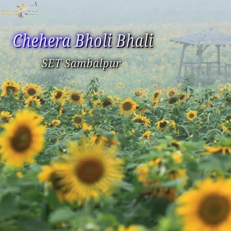 Chehera Bholi Bhali