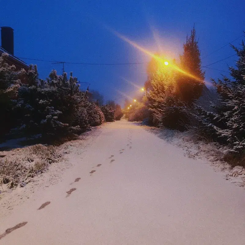 Winter Melancholy