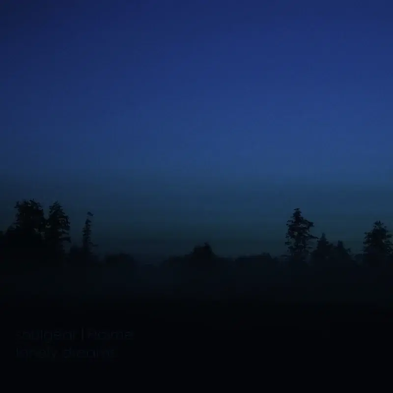 lonely dreams