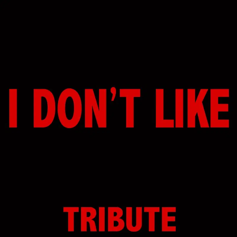 I Don't Like (Tribute to Chief Keef Feat. Lil Reese)