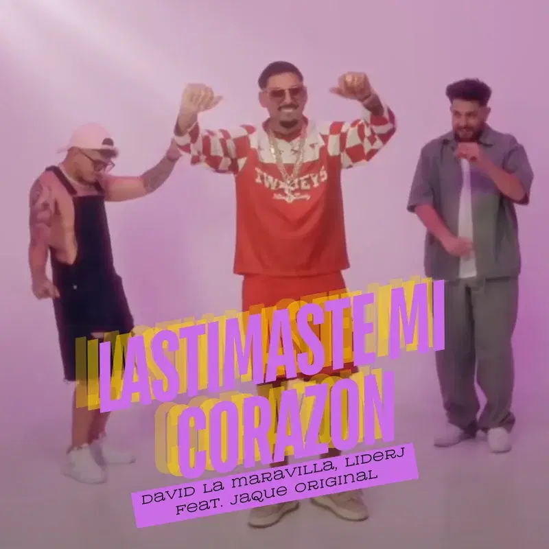 Lastimaste mi corazón