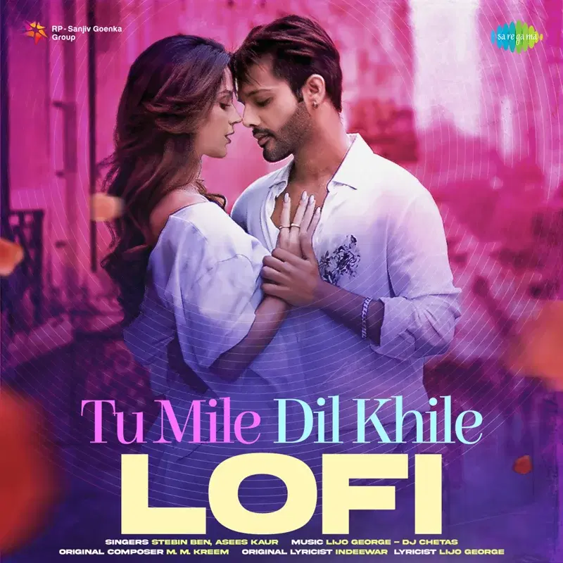 Tu Mile Dil Khile (Lofi) - Single