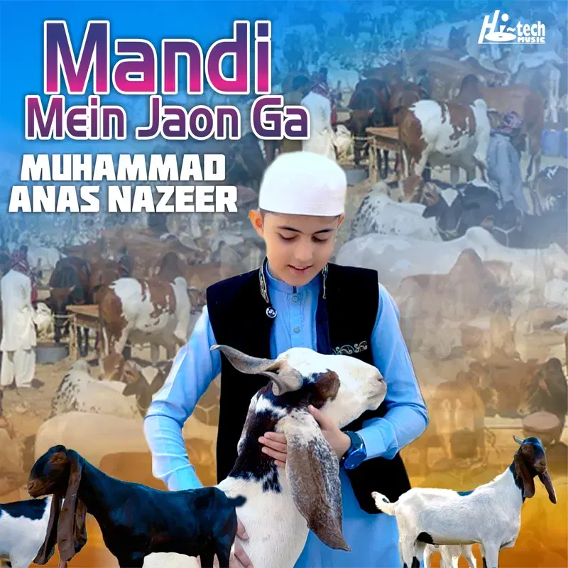 Mandi Mein Jaon Ga