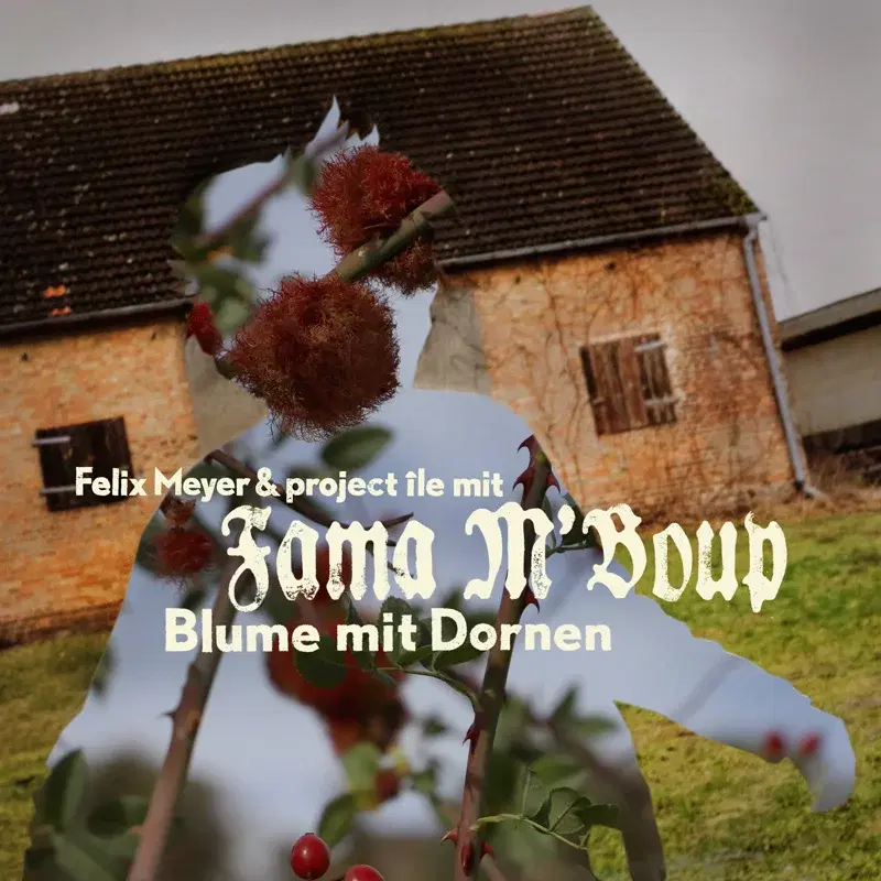 Blume mit Dornen (mit Fama M'Boup & mondëna quartet)