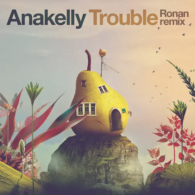Trouble