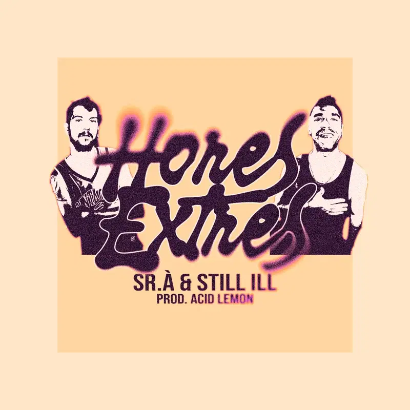 Hores Extres