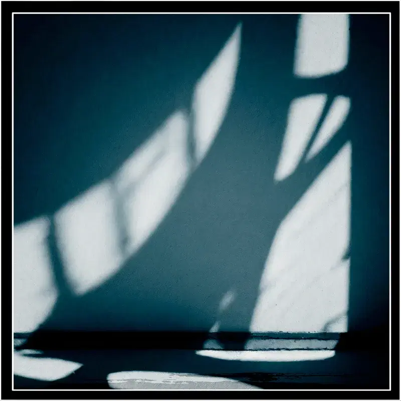 Shadows