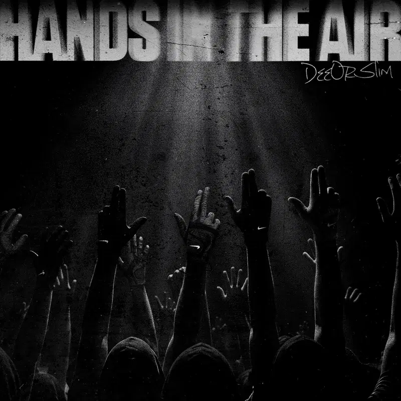 Hands In The Air