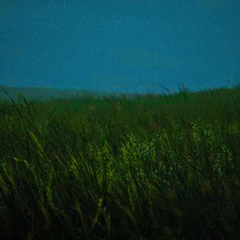ambiguity