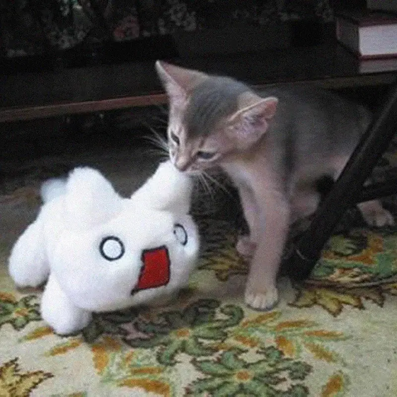 ngày hôm nay là ngày thứ mấy?