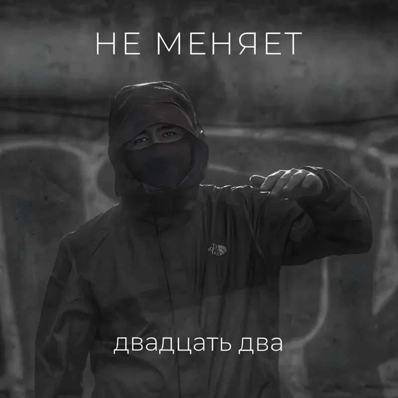 двадцать два