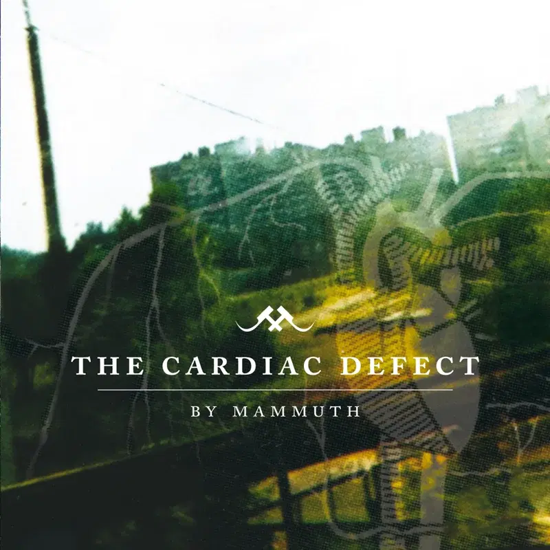 The Cardiac Defect