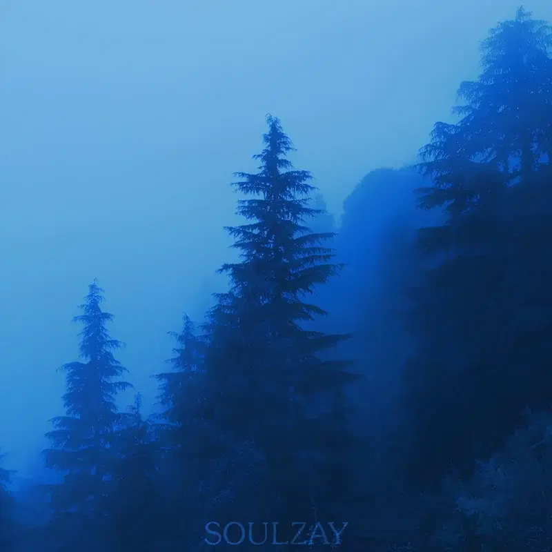 dreamy forest