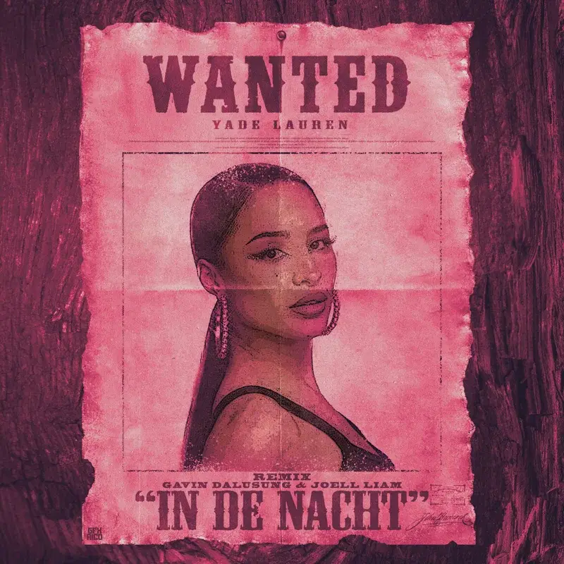 In De Nacht