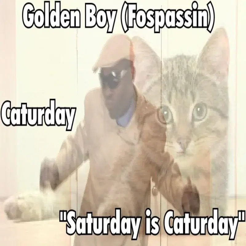 Saturday Is Caturday