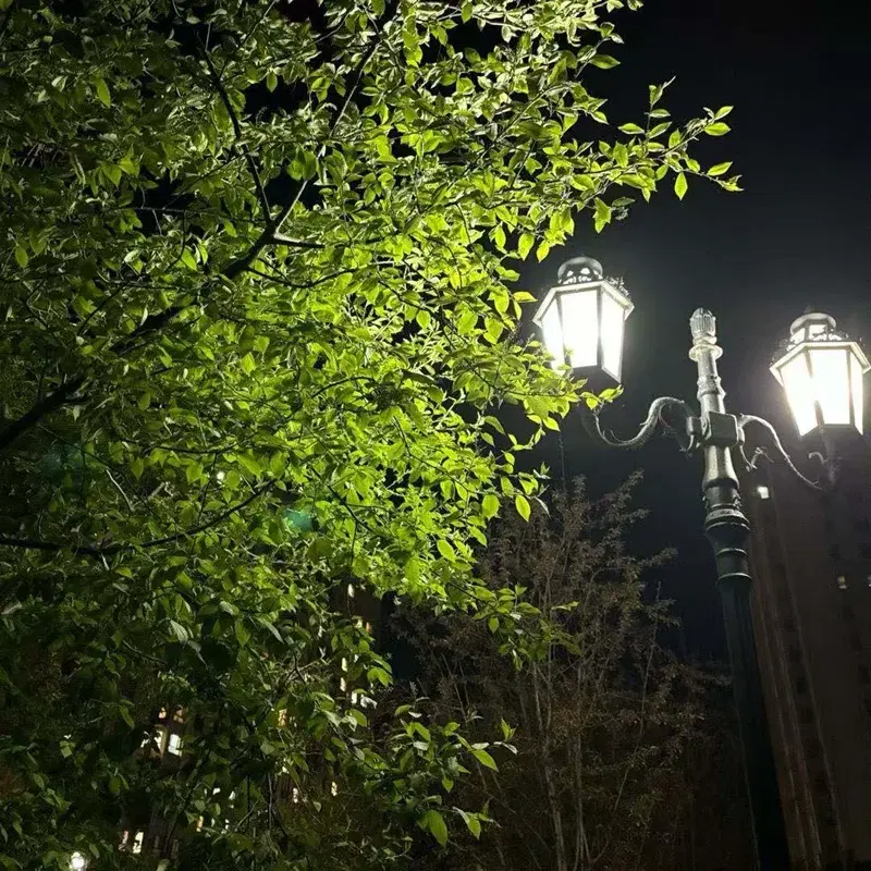路灯
