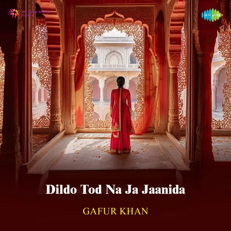 Dildo Tod Na Ja Jaanida