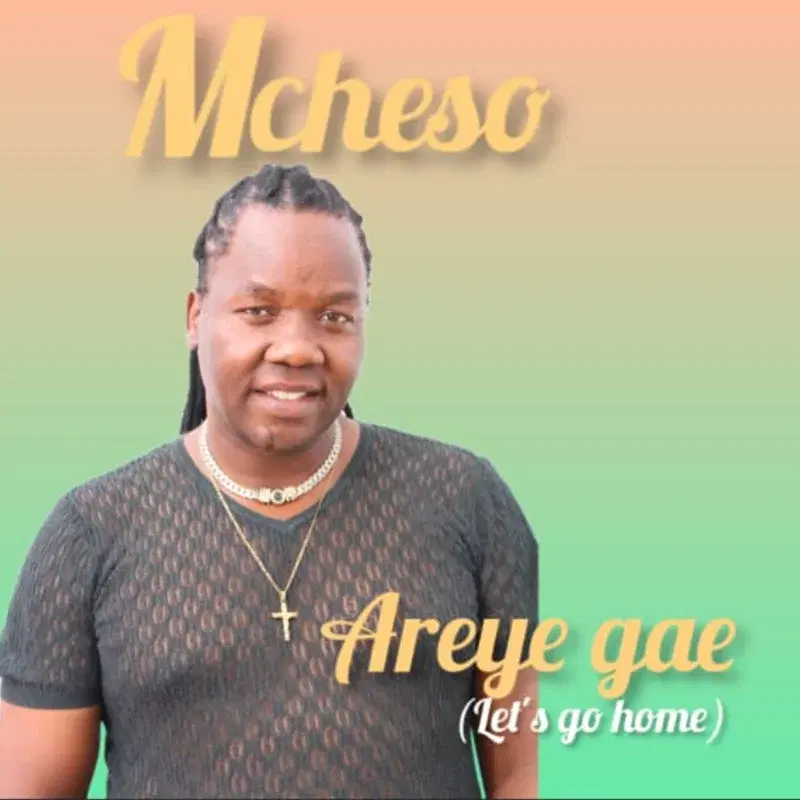 Areye Gae (Let's go home)