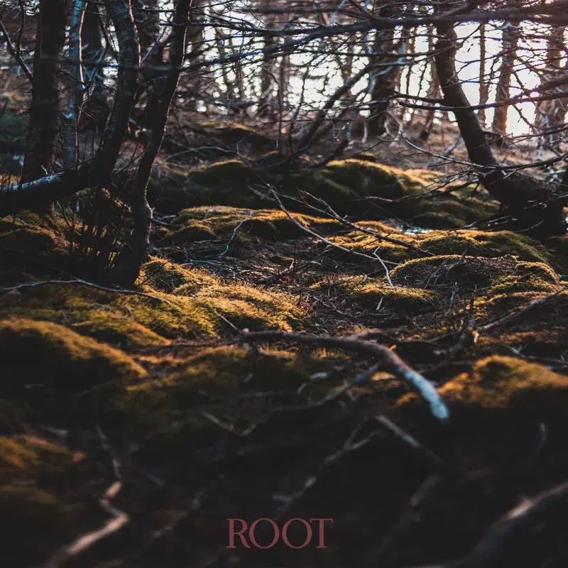 ROOT
