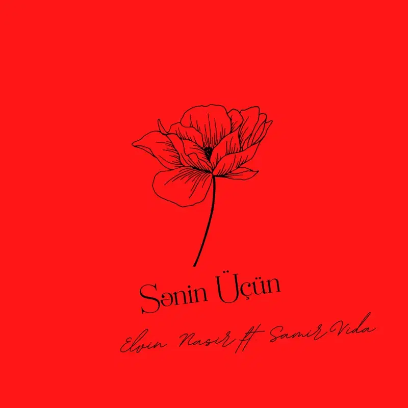 Sənin Üçün
