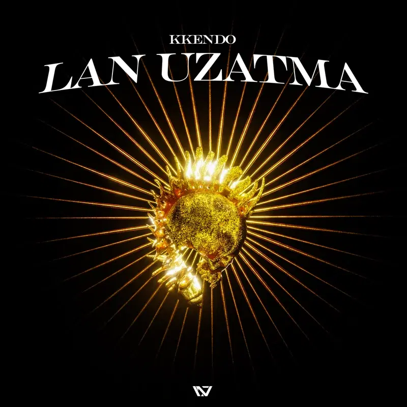 LAN UZATMA