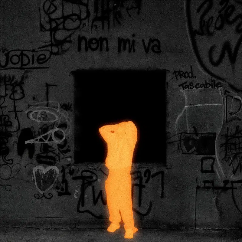 non mi va