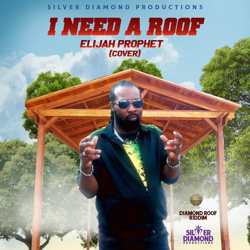 I Need A Roof