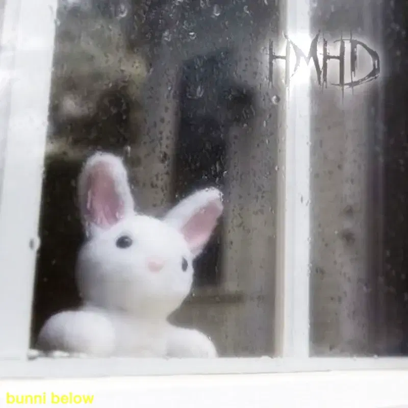 hmhd
