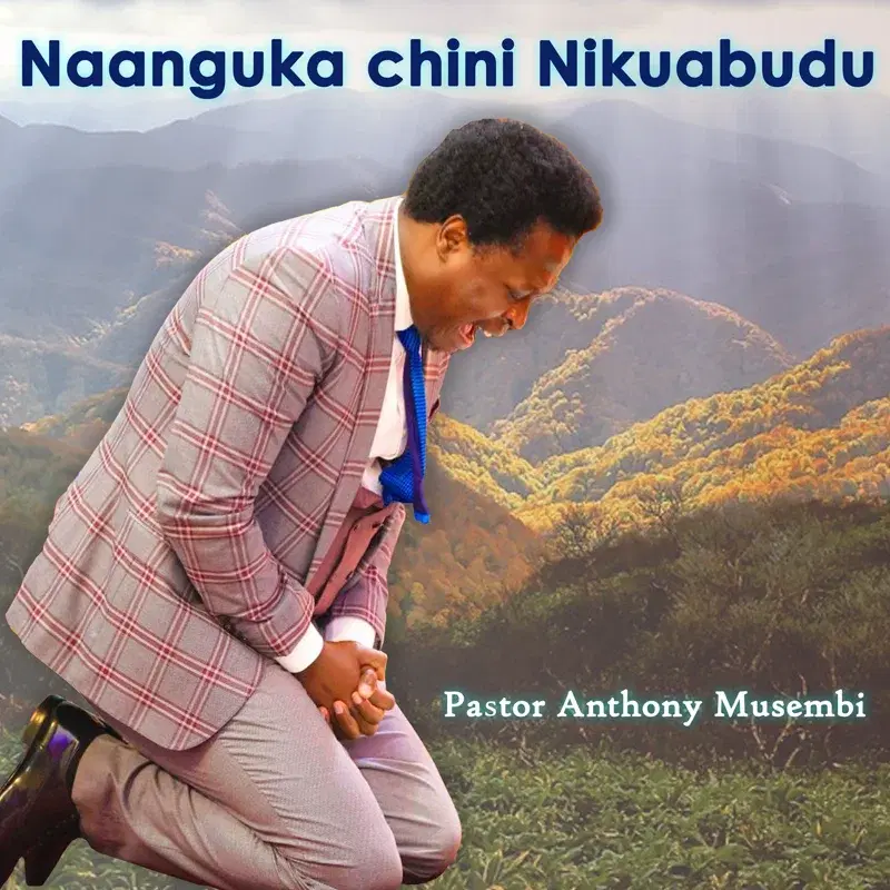 Naanguka Chini Nikuabudu