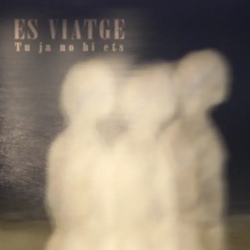 Tu ja no hi ets