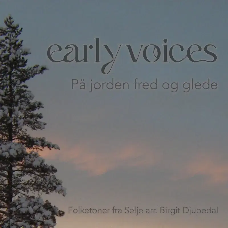 På jorden fred og glede
