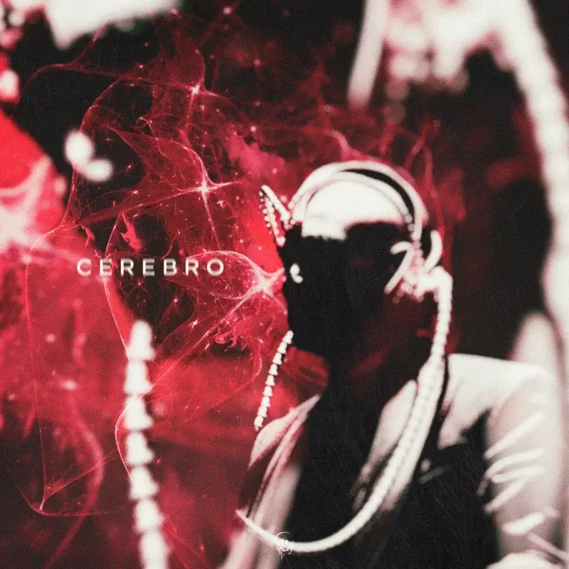 Cerebro