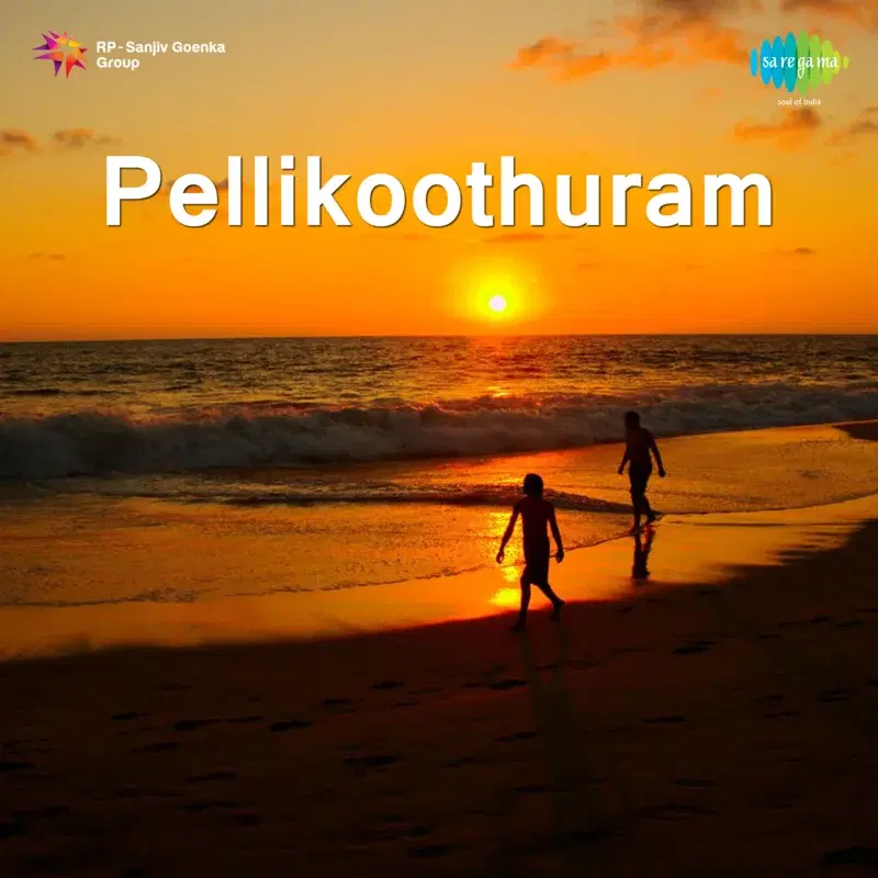 Pellikoothuram (Original Motion Picture Soundtrack)