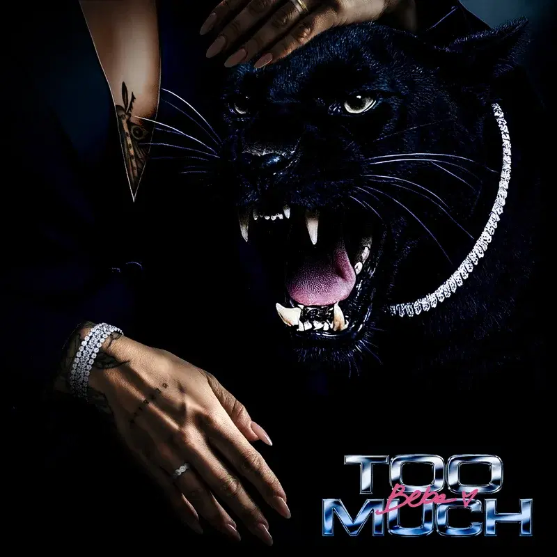 TOO MUCH