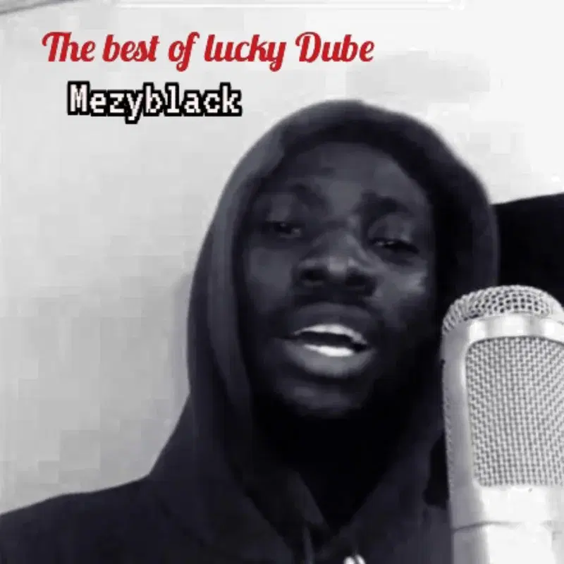 The best of lucky Dube
