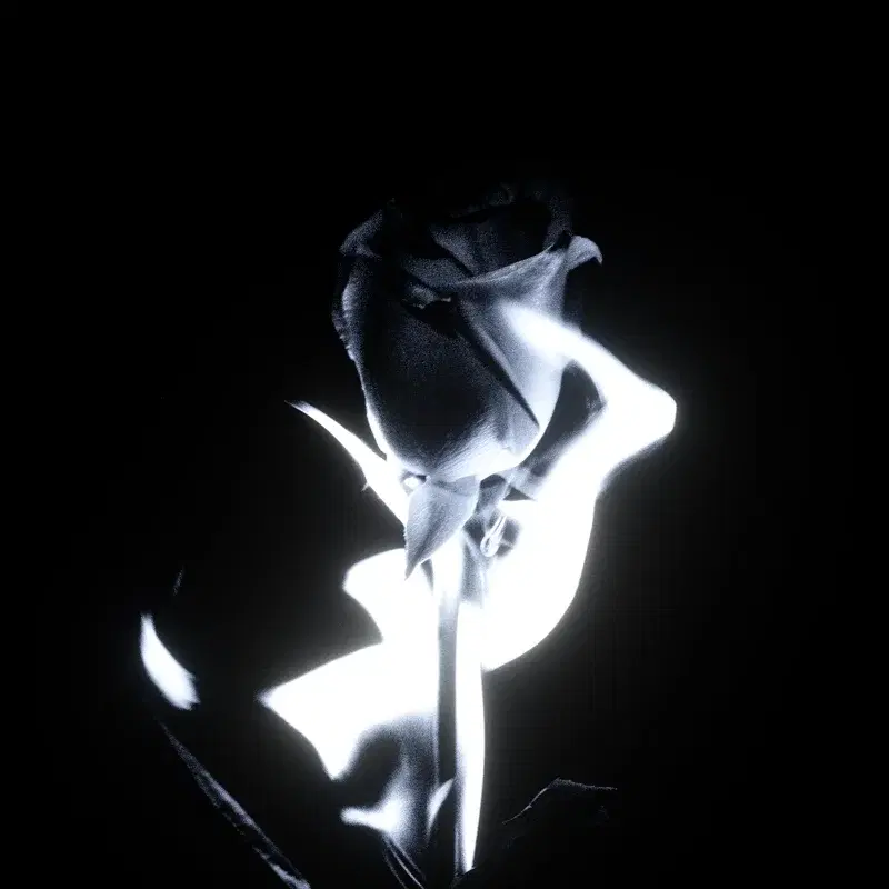 Black+White