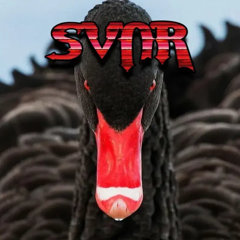 Sorte Svanen