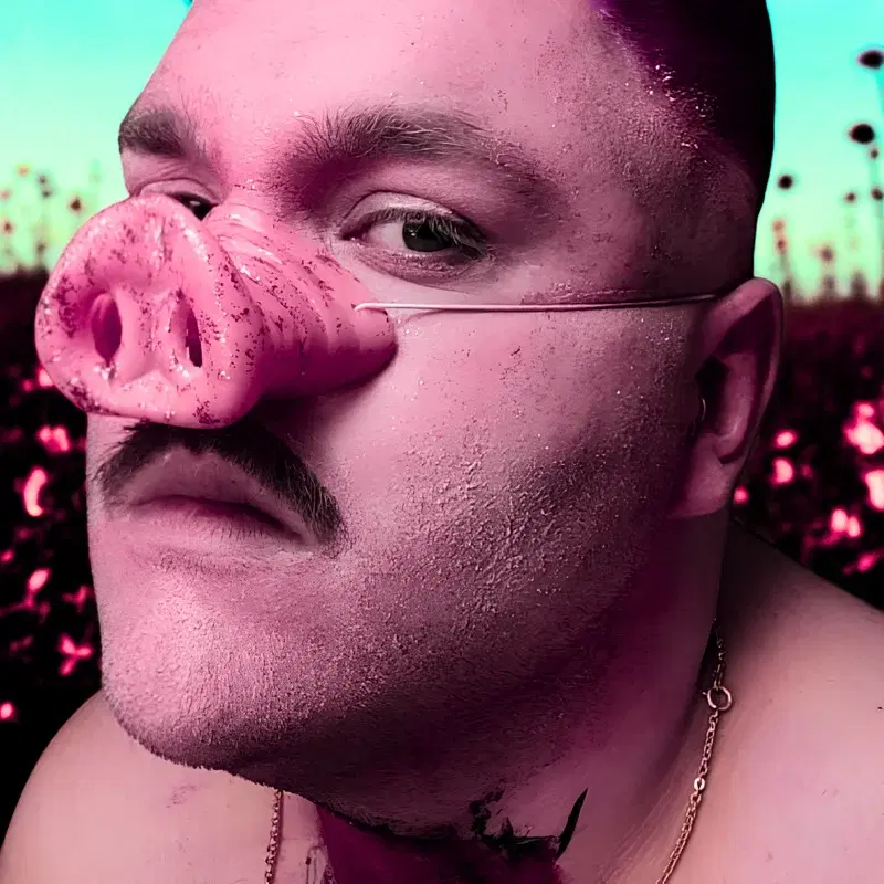 Skinke