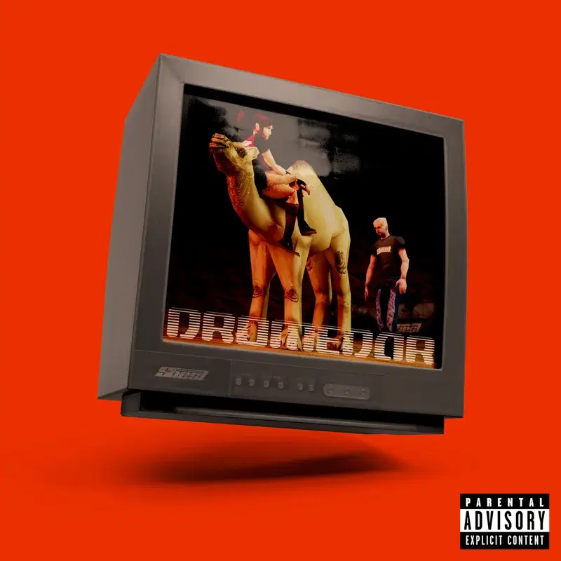 DROMEDAR