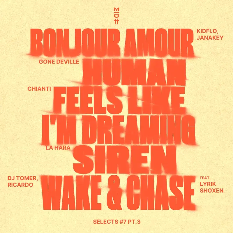 Bonjour Amour