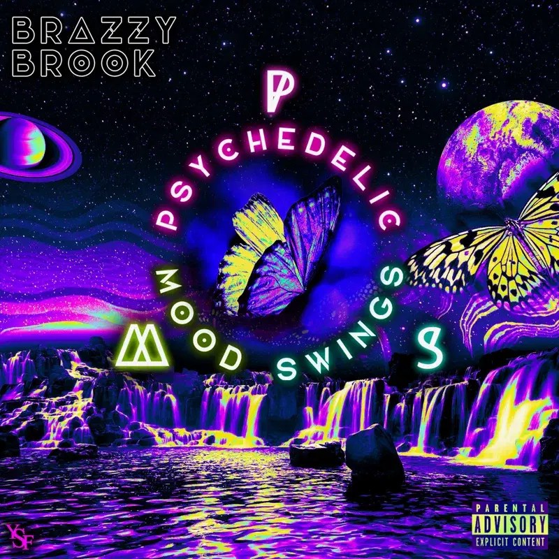 Psychedelic Mood Swings (P.M.S)
