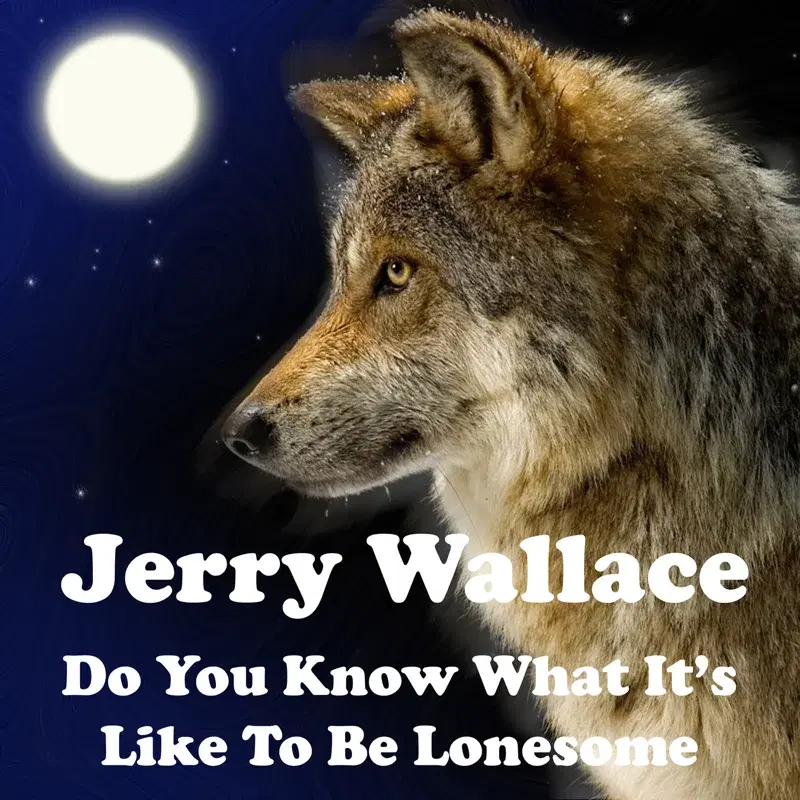 Do You Know What It's Like to Be Lonesome