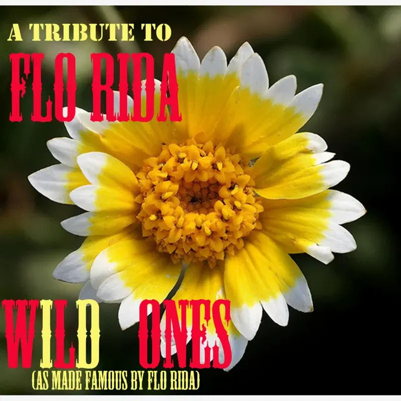 Wild Ones