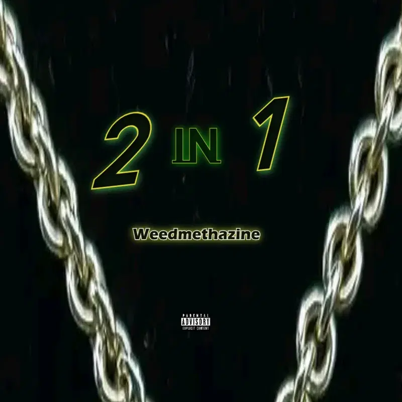 2IN1