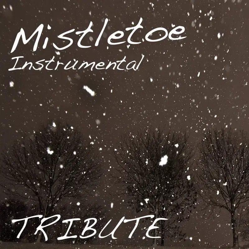 Mistletoe (Justin Bieber Instrumental Tribute)